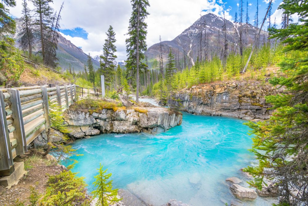 Kootenay National Park (Official GANP Park Page)